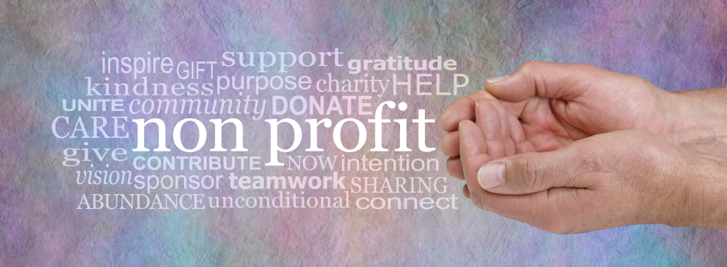 Non Profit Grant Writing